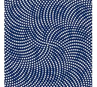 ストラヴィンスキー:春の祭典