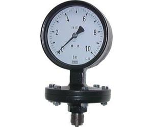 0..2.5 Bar Diaphragm Pressure Gauge Below Iron 100 mm Class 1.6