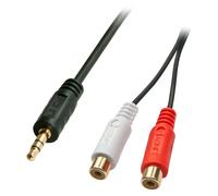 0.25m AV Adapter Cable - 3.5mm Male to 2 x RCA Female