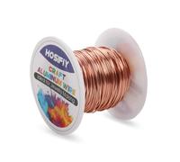 0.8mm Craft Wire, Champagne Aluminum Craft Wire, Jewelry Wire for DIY Sculptures, Modeling, Jewelry Making, Floral Crafting and Wire Weaving (Champagne, 30 Meters)