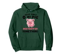 0 Days Since My Pig Destroyed Something Fun Pullover Hoodie