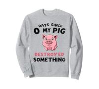 0 Days Since My Pig Destroyed Something Fun Sweatshirt