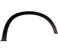 01.2007/ 2010/ RIGHT FRONT TRIM/PROTECTION STRIP WING FITS: BMW X5 SAV XDRIVE