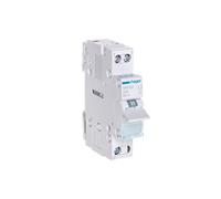 01 SFB132-3250615510846 1P 32A HAGER Zero Dot Modular Inverter