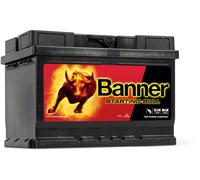 027 Banner Starting Bull Car Battery (56219)