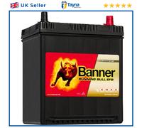 054 EFB Banner Running Bull Car Battery (53815)