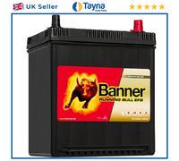 054 EFB Banner Running Bull Car Battery (53815)