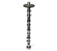 06H109571G Exhaust Camshaft Timing Gear Compatible with VW/Audi/Skoda/Seat 06H109022 Intake Exhaust Camshaft Assembly