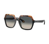 Giorgio Armani Woman Sunglass AR8193U - Frame color: Yellow Havana/Black, Lens color: Grey Gradient