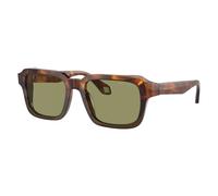 Giorgio Armani Man Sunglass AR8194U - Frame color: Havana Red/Opaline Olive Green, Lens color: Green