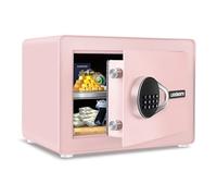 1.0 Cubic Feet Safe Box, Small Safe W/Removable Shelf, Alarm System, Digital Electronic Security Money Box for Cash, Document, Home,Office, Hotel Use, Pink, 9.84"D x 13.78"W x 9.84"H