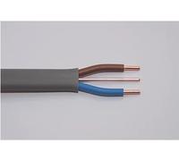 1.0MM, Twin and Earth Cable 6242Y, 2 Metres