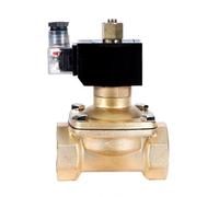 1-1/2 inch Brass Solenoid Valve Normally Open 24V 12V 220V 110V Water/Gas Valves 1Pcs(BSP_220VAC_VITON-Seal)
