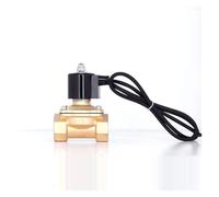 1-1/4" Brass Underwater Solenoid Valve Fountain Solenoid Valve Water Valve 220V 110V 24V 12V AUOQKQUT(G_24VAC)