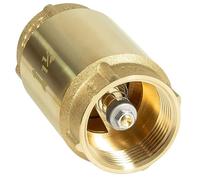 1 1/4-Inch Spring Check Valve Brass Female Pipe Thread One Way In-Line Check Valve Backflow Prevention