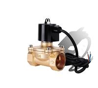 1-1/4" Normally Closed Brass IP68 Waterproof Fountain Solenoid Valve 110V 24V 12V 24v for Underwater(G-12VDC)