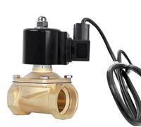 1-1/4inch 2A-32 Normally Closed Brass Fountain Solenoid Valve 220V 12V 24V Solenoid Valve(DC12V)