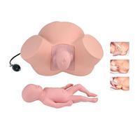 1:1 Life Size Birth Midwifery Training Simulator Childbirth Obstetrics Gynecology Normal Abnormal Fetal Positions Delivery Maternity Manikin for Teaching