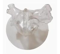 1:1 Transparent Heart 3D Biology Left Atrium Model, Heart Beat & Circulation Simulation Model, for Science Classroom Teaching Tool(A Standard left atrium)