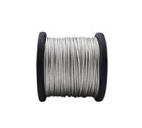 1-10 Meters Diameter 0.3-4.0mm 304 Stainless Steel Wire Rope Soft Fine Wirerope for Garden Climbing Plants, Picture Hanging,Clothe(1.0mm (10 Meters))
