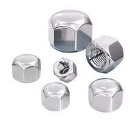 1/10pcs DIN917 M3 M4 M5 M6 M8 M10 M12 M14 M16 304 Stainless Steel Hex Hexagon Decorative Short Low Cover Cap Blind Acorn Nut(5pcs M8)