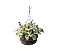 1/12 Miniature Potted Plant Model Figure for Doll House Decoration Craft Model Project Garden Scene Display Accessories Doll House Plant
