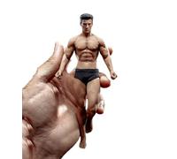 1/12 Scale Male Action Figure,6inch Male Super-Flexible Seamless Action Figure Body Doll Collection(TM01A Normal Version)