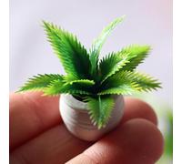 1:12 Scale Mini Potted Plants - Resin Botanical Decor for Dollhouse Kitchens and Living Rooms, Evergreen DIY Craft Accessories with Lifelike Foliage