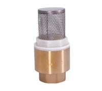 1/2" 3/4" 1" 1-1/4" 1-1/2" 2" 2-1/2" 3" BSP Female Brass Check Valve Non-Return with Steel Strainer Filter for Water Plumbing(3/4")