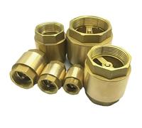 1/2" 3/4" 1" 1-1/4" 1-1/2" 2" BSP Brass Hex in-Line Spring One Way Check Valve Non-Return Valve(2")