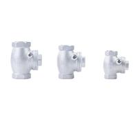 1/2" 3/4" 1" 1-1/4" 1-1/2" 2" BSPT Female Thread Stainless Steel 304 Non- Swing Check Valve DN15/DN20/DN25 Horizontal Type(DN25)