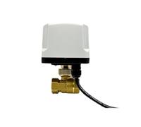1/2" 3/4" 1" 2" brass normally closed quick opening ball valve 2 wire brass ball valve replacement solenoid valve 12VDC(G3/4)