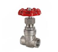 1/2" 3/4" 1" 2" Female Thread Stainless SteelGate Valve DN15 DN20 DN25 DN32 DN40 DN50 Straight Through 1.6Mpa for Water Oil Gas(DN20)