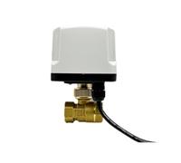 1/2 3/4 1 2 inch Brass Normally Closed Quick-Open Motorized Ball Valve 2-Wire Electric Replace Solenoid 1Pcs(3/4",Normally Closed_110VAC)