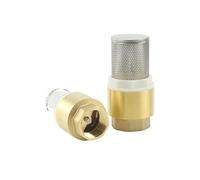 1/2" 3/4" 1" Brass Check Valve with Steel Strainer Filter BSP Female Thread Pipe Fitting Connector for Water DN15/DN20/DN25(0.75 Inch)