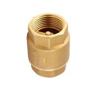1/2" 3/4" 1" BSP Female Thread Brass Vertical Lift Spring Check Valve One Way Non Return Valves(0.5 Inch)