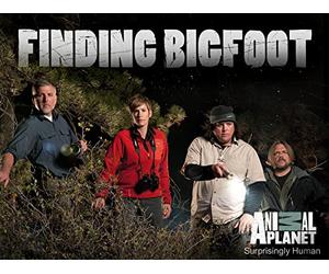 1, 2, 3, 4, I Declare a Squatch War