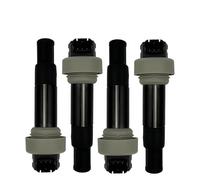 1/2/4 PCS Motorcycle Ignition Coil Compatible With M/W G650 G650GS Sertao Xcountry 2008-2016 Replacement 7715848-01 12137715848(4Pcs)