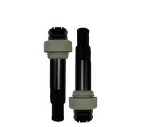 1/2/4 PCS Motorcycle Ignition Coil Compatible With M/W G650 G650GS Sertao Xcountry 2008-2016 Replacement 7715848-01 12137715848(2Pcs)