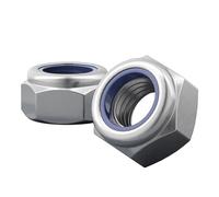 1/2/5/10pcs A2 304 Stainless Steel Fine-Thread Nylon Locknuts M6 M8 M10 M12 M14 M16 M18 M20 PITCH 0.75-1.5MM(2pcs,M12 x 1.5mm)