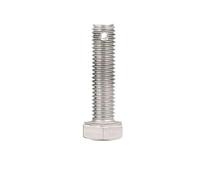1/2/5Pcs M6 M8 M10 M12 M14 304 Stainless Steel Tail Hole External Hexagon Screws GB31.1 with Body(20mm,M6(5pcs))
