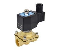 1/2" IP65 Waterproof Normally Closed Solenoid Valve 220V 110V 24V 12V Brass Electric Solenoid Valve for Outdoor(BSP_12VDC_EPDM-Seal)