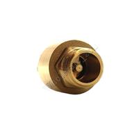 1/2'' NPT Multi-Functional Accessories Copper Thread Connector Home in Line Tool DIY Spring Vertical Type Check Valve