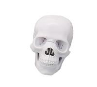 1: 2 Scale Human Skull Anatomy Model Detachable PVC Skeleton Head Model for Classroom Demonstration and Laboratory Study Teaching Skull