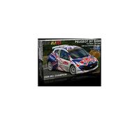 1/24 Peugeot 207 S2000 Rally - Model Kit - Bellkit BEL001