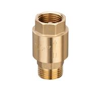 1/2inch Check Fitting with High Temperatures Resistance Backflow Preventer for Industrial and Home Pipe Networks Backflow Preventer