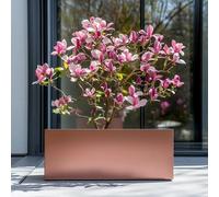 1.2m/1m/75cm/70cm Zinc Galvanised Trough Planter | No Assembly Needed | Lightweight (Rose Gold, L120cm x W40cm x H40cm)
