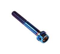 1-2pcs M4 M5 M6 M8 M10 Titanium Plated Stainless Steel With Burn Blue Screw Gloden Colour Hexagon Flange Head Hex Bolts(M8X20 1PCS)