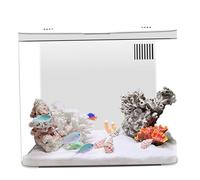 1.3 Gallon Small Aquarium Starter Kit with 3 Layer Filter & LED Light, Desktop Fish Tank with Self Cleaning System, Home Decor for Betta, Shrimp, Goldfish