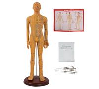 1/3 Life Size Human Acupuncture Model, 21''/54cm Acupuncture Mannequin, for Acupuncturists and Other Medical Professionals Training Teaching Education Supplies(Female)